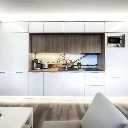 公寓 Baltic Haus 格但斯克